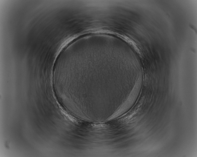 X0000097661231200803280944