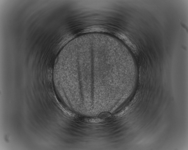 X0000097661233200803280944