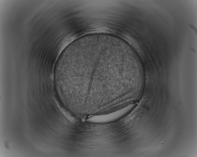 X0000097661234200803280944