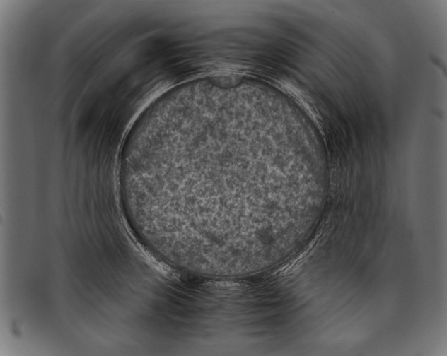 X0000097661235200803280944