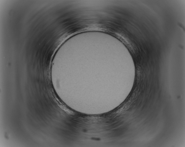 X0000097661236200803280944