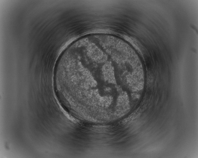 X0000097661237200803280944