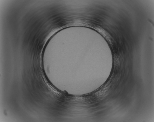 X0000097661238200803280944