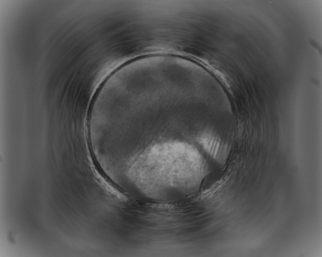 X0000097661239200803280944
