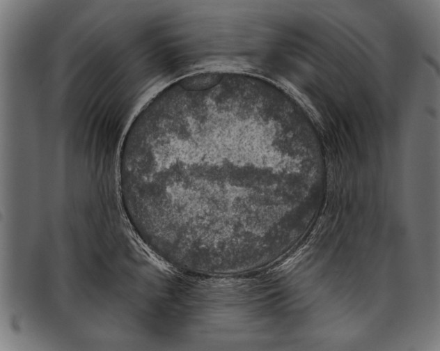 X0000097661240200803280944