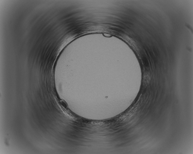 X0000097661242200803280944