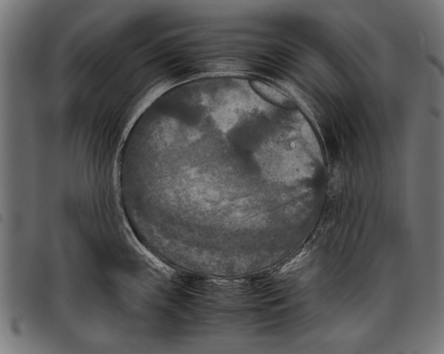 X0000097661243200803280944