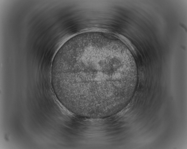 X0000097661244200803280944