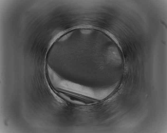 X0000097661245200803280944