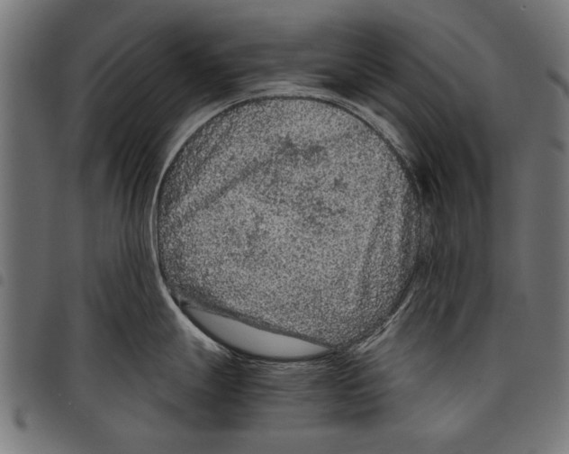 X0000097661247200803280944