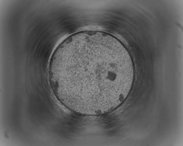 X0000097661248200803280944