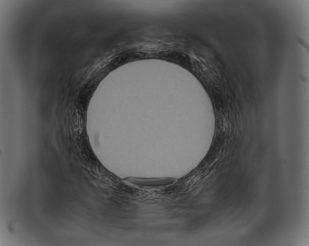 X0000097661253200803280943