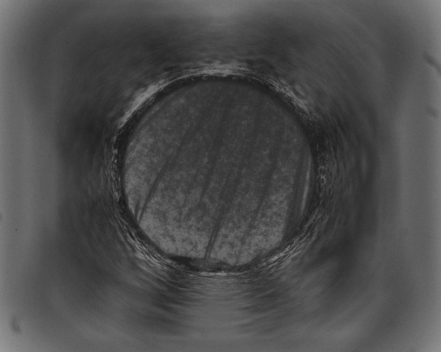 X0000097661256200803280943