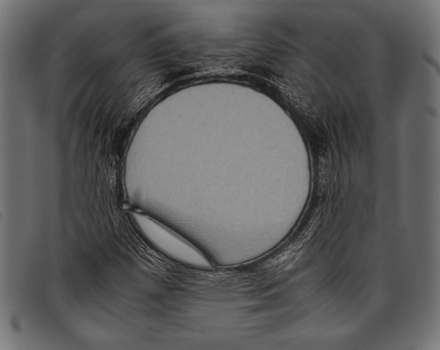 X0000097661257200803280943