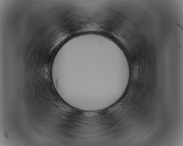 X0000097661258200803280943