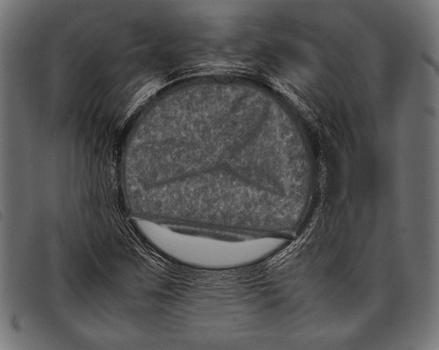X0000097661259200803280943