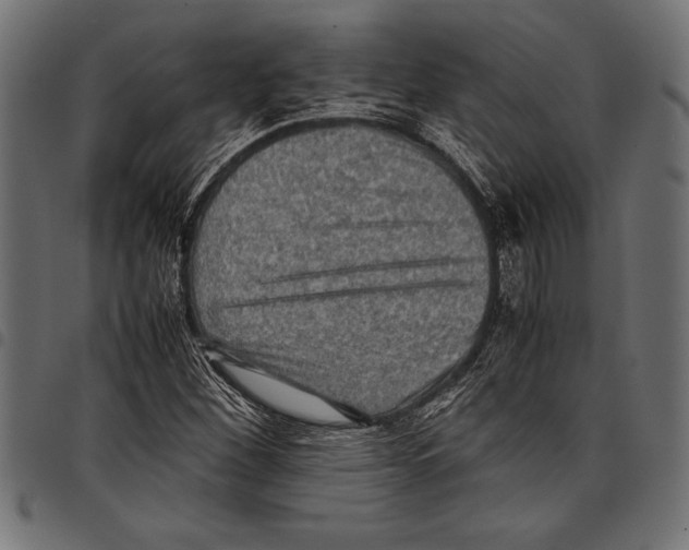 X0000097661260200803280943