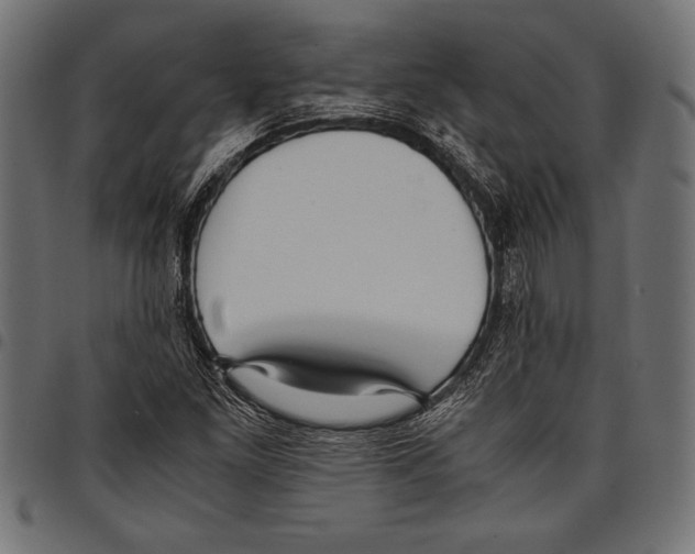 X0000097661261200803280943