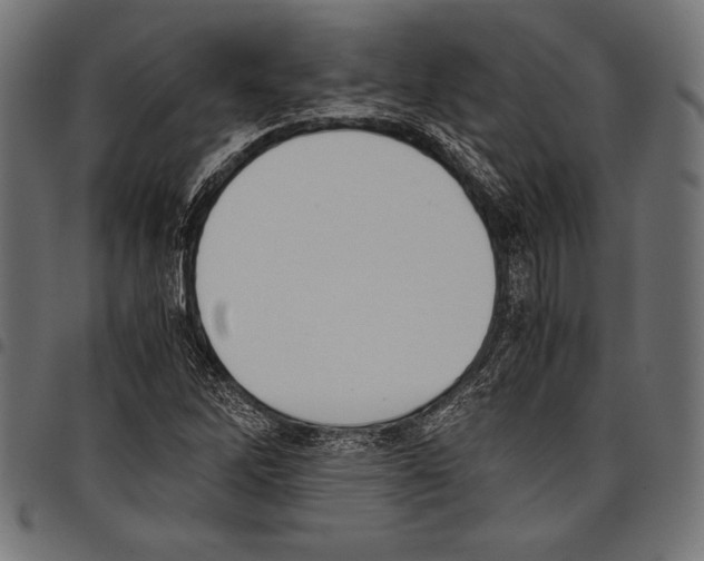 X0000097661262200803280943