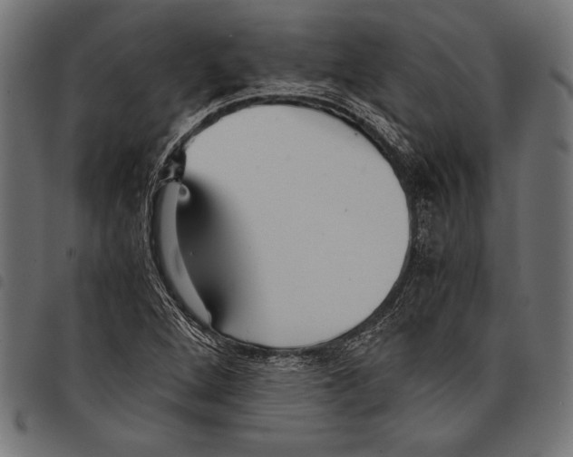 X0000097661264200803280943