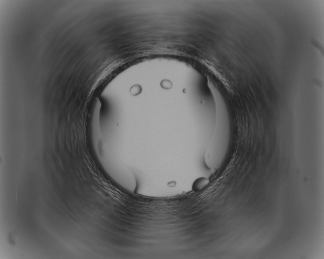 X0000097661266200803280943