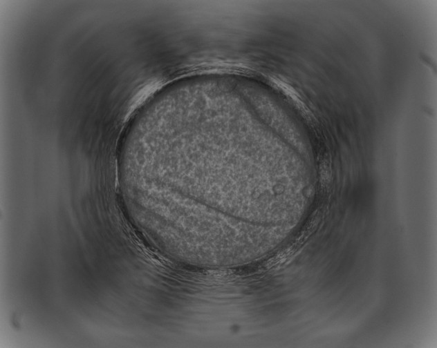 X0000097661267200803280943