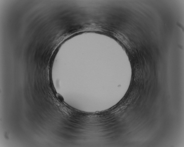 X0000097661268200803280943