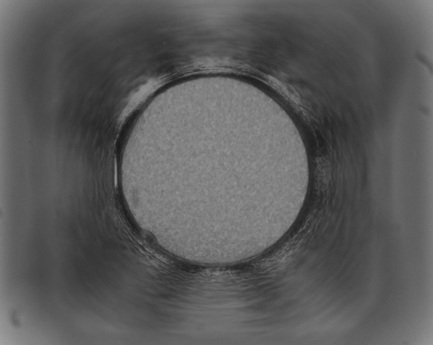 X0000097661269200803280943