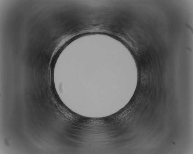X0000097661270200803280943