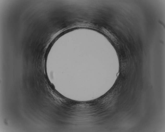 X0000097661272200803280943