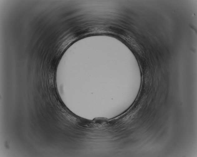 X0000097661273200803280943