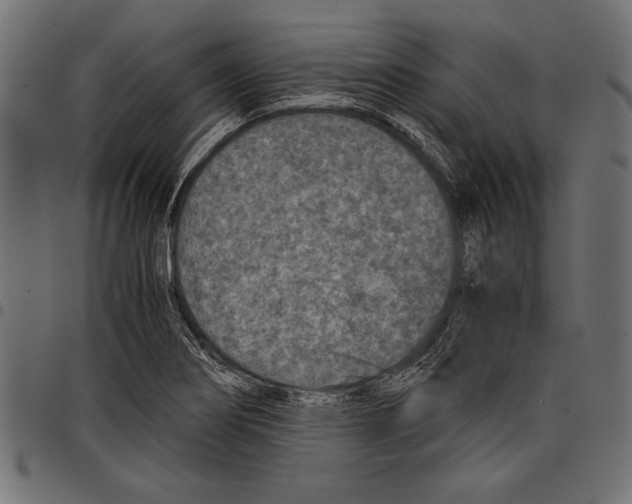 X0000097661274200803280943