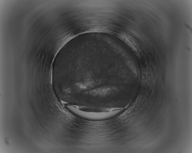 X0000097661276200803280943