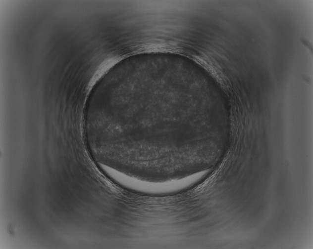 X0000097661277200803280943