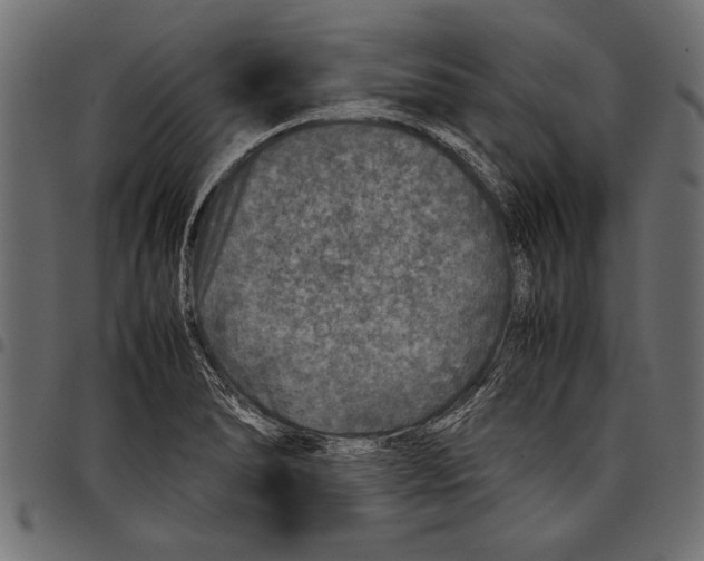 X0000097661278200803280943