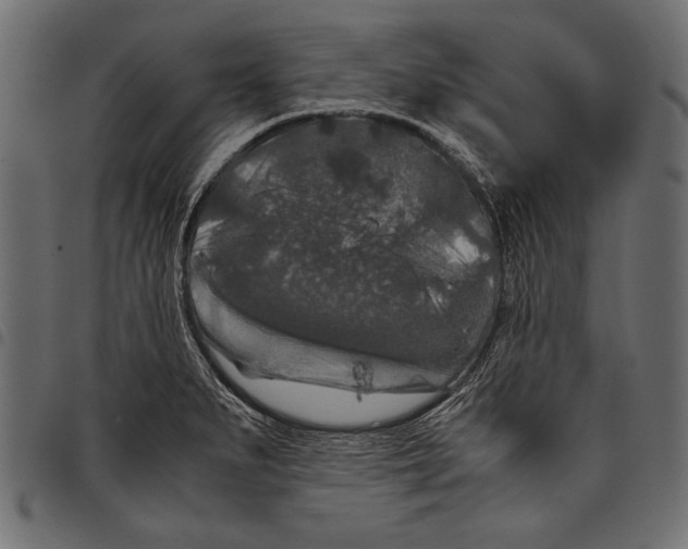 X0000097661279200803280943