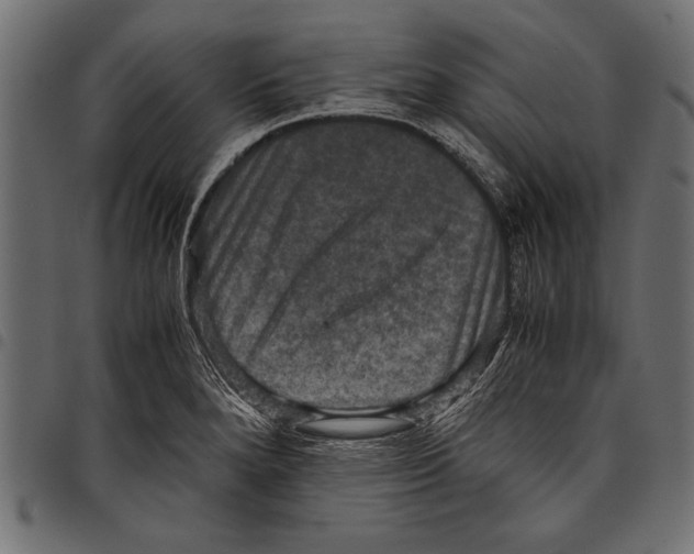 X0000097661280200803280943