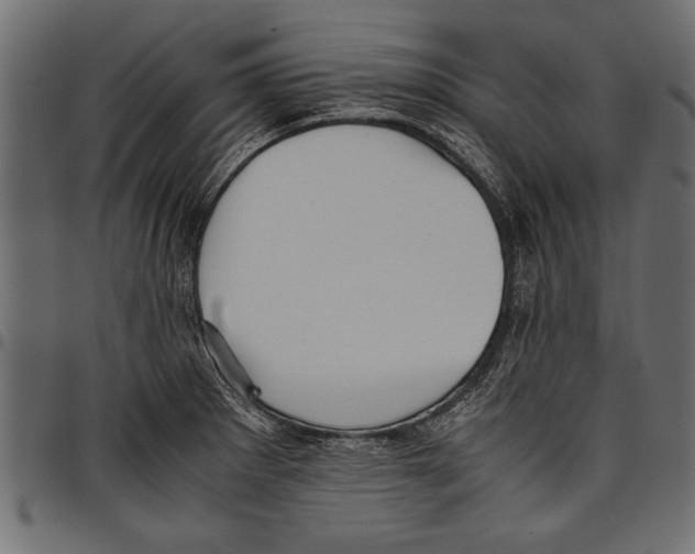 X0000097661281200803280943