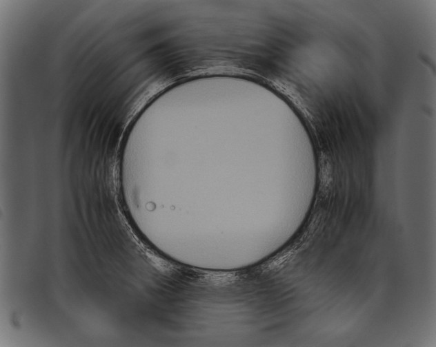 X0000097661282200803280943