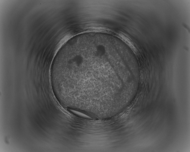 X0000097661283200803280943