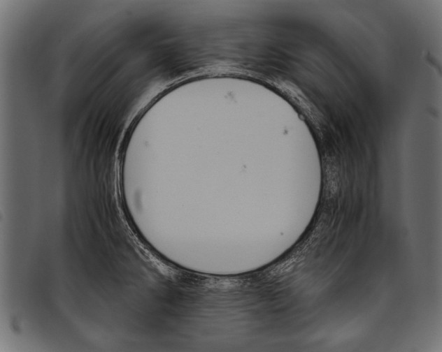 X0000097661286200803280943