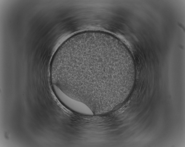 X0000097661287200803280943