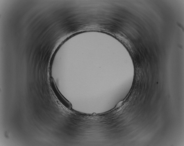 X0000097661288200803280943