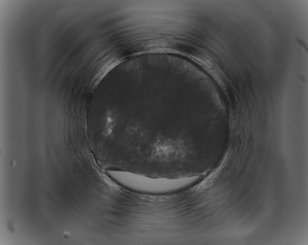 X0000097661289200803280943