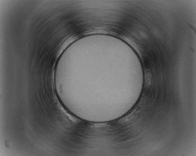 X0000097661290200803280943