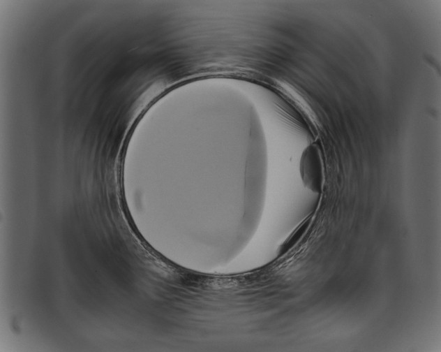 X0000097661291200803280943
