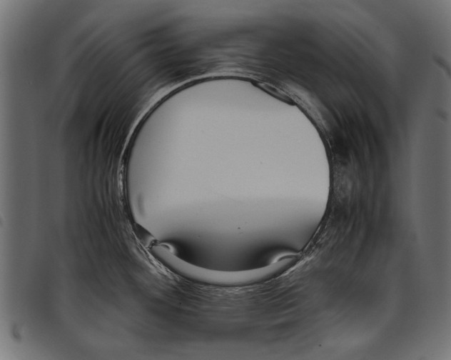 X0000097661292200803280943