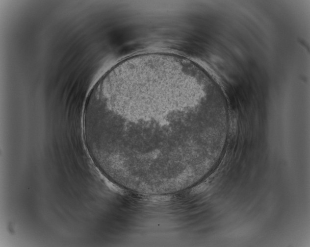 X0000097661294200803280943