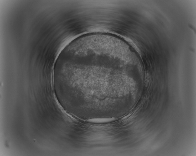 X0000097661295200803280943