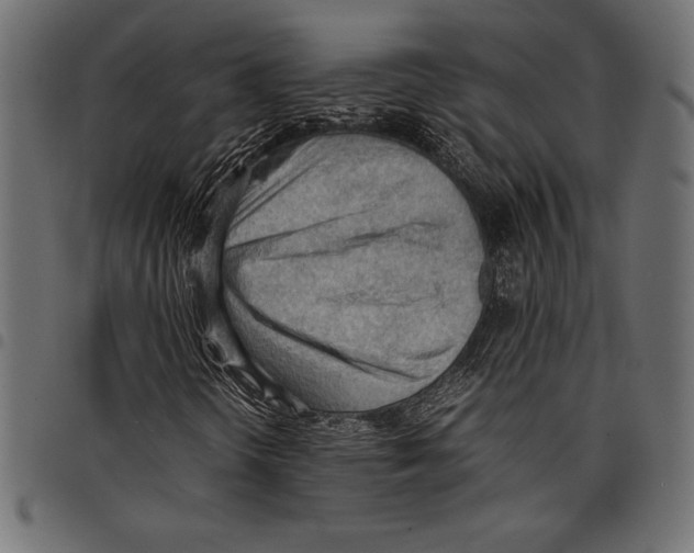X0000097661298200803280942